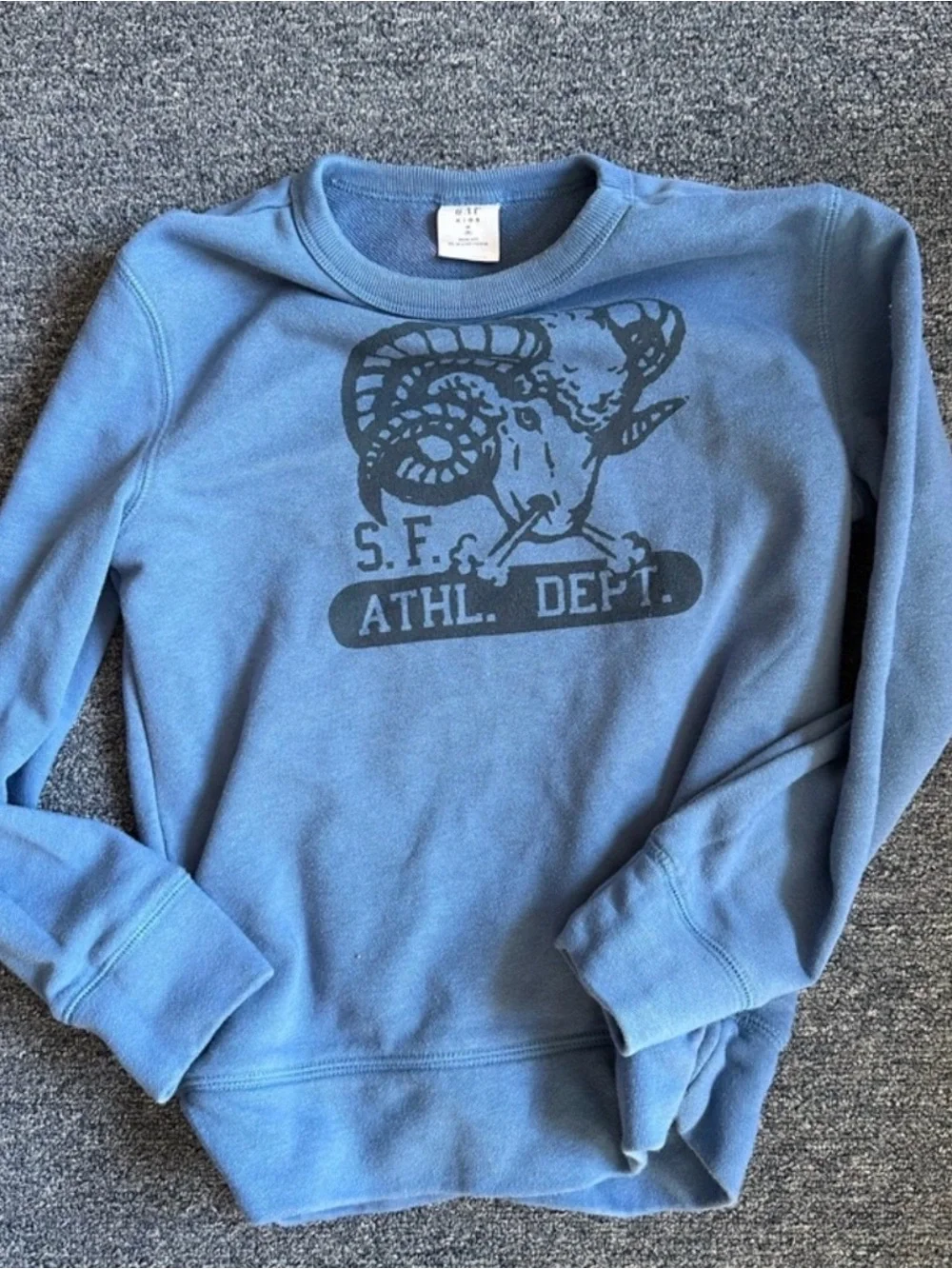 GAP Kids Slate Blue Ram Athletic Crewneck Sweatshirt